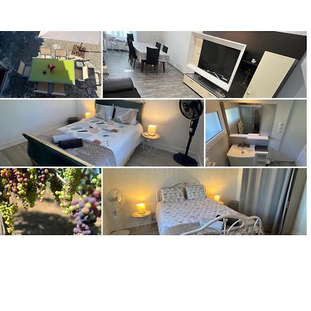 Gite Le Clos Saint-Sulpice-de-Faleyrens 外观 照片