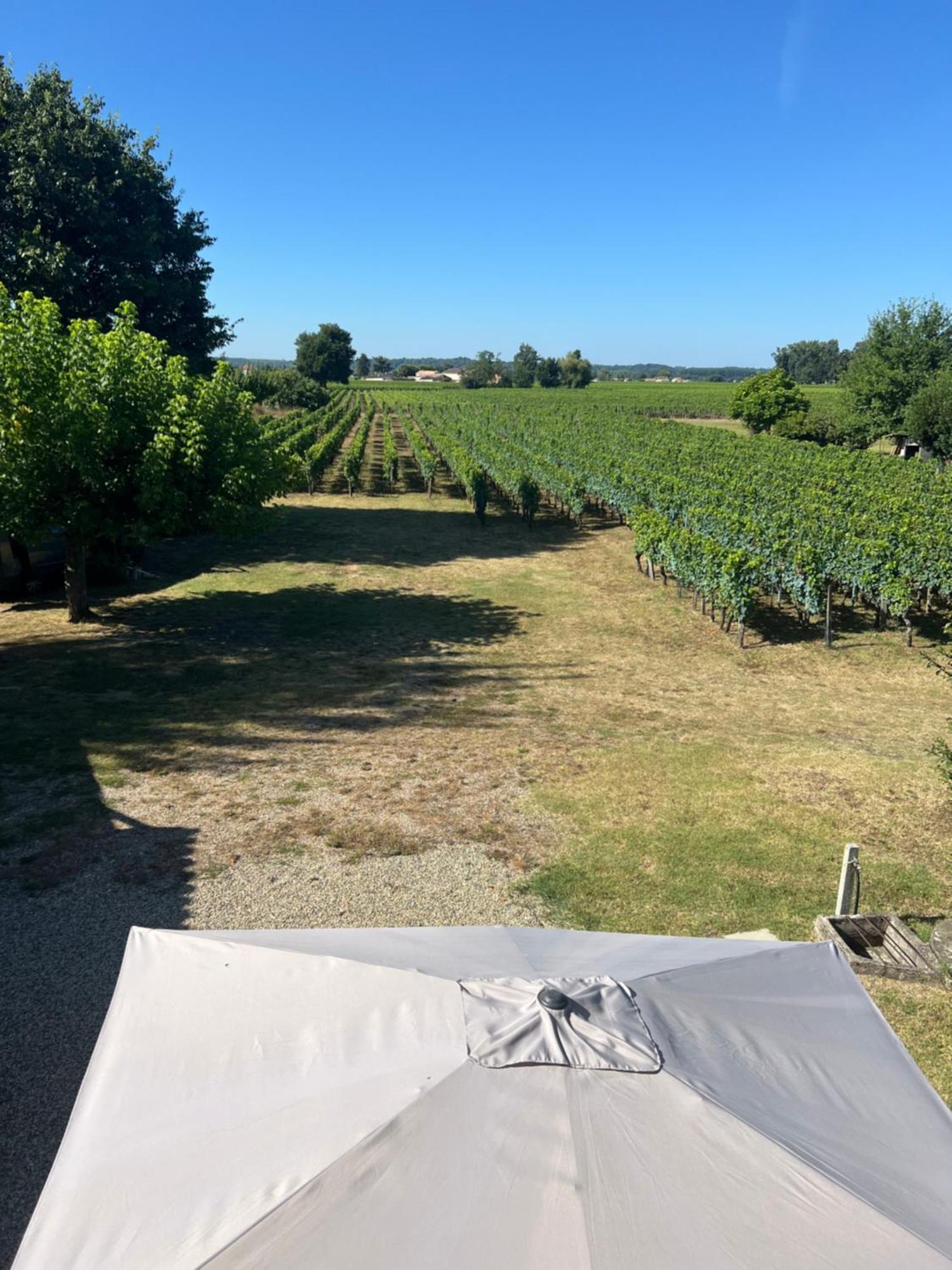 Gite Le Clos Saint-Sulpice-de-Faleyrens 外观 照片